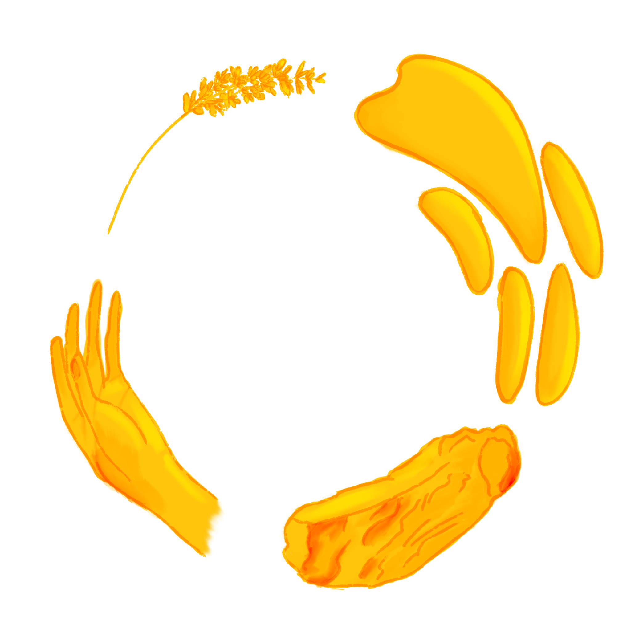 Four illustrated elements arranged in a circle: a sprig of herbs, an animal claw with feathers, a small stone, and an open human hand.